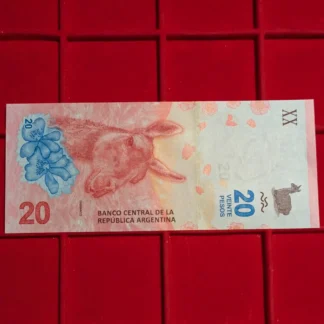 20 Pesos Argentina