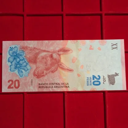 20 Pesos Argentina